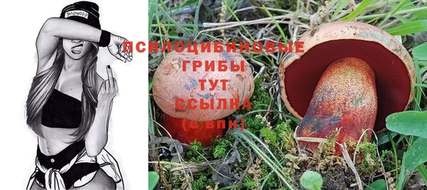 PSILOCYBIN Каменка