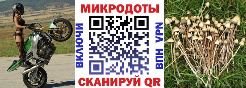 Галлюциногенные грибы Magic Shrooms  Бирюч 