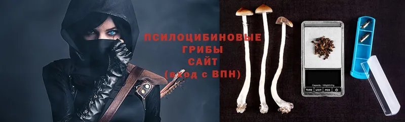 Галлюциногенные грибы Magic Shrooms  даркнет состав  Бирюч  продажа наркотиков 